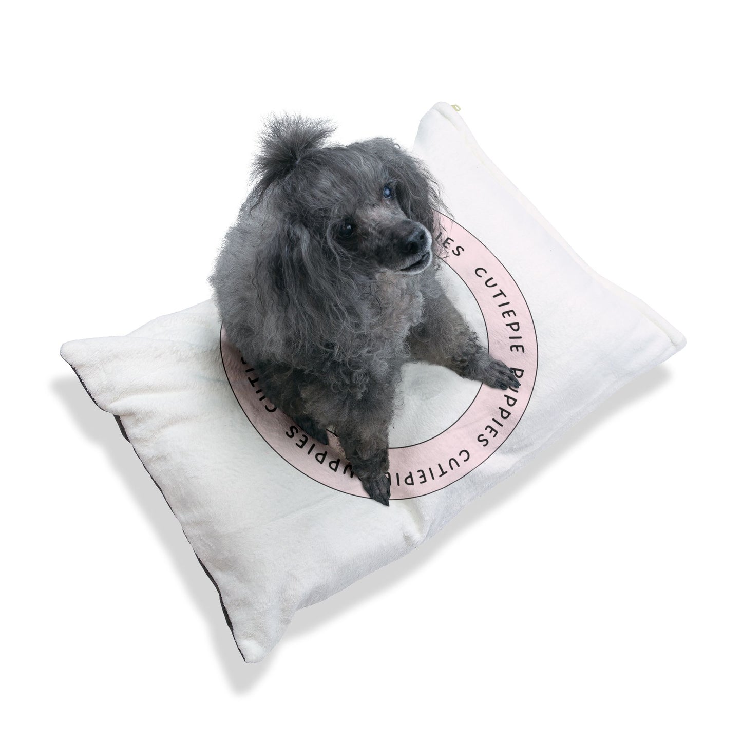 Dog Bed
